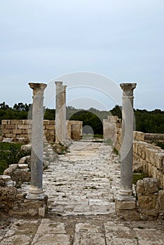 Ancient Ionian column in Salamis