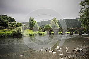 Ancient Irish bridge and village landscape