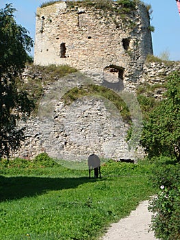 Ancient Izborsk to completion of reconstruction