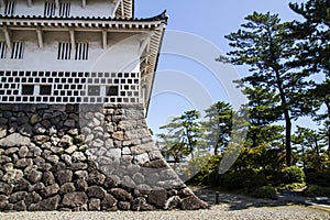 Ancient Japanese castle and trees