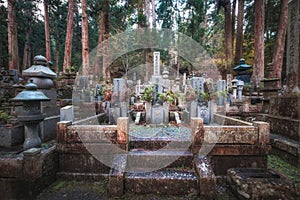 Ancient Japanese Graveyard inside Forest in Okunoin Cemetery, Koyasan, Japan