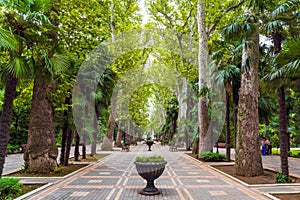 Ancient Khan Garden in the Ganja city