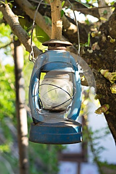 Ancient lamp hang on tree.