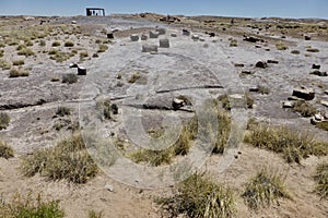 Ancient landscape with Fossilised Logs and Trees. Petrified Forest National Park, Arizona, USA. June 12, 2014.