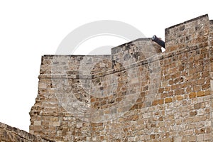 Ancient Larnaca castle walls and cannons in the courtyard, Cyprus