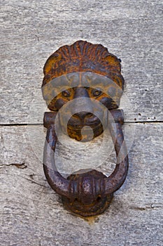 Ancient lion shaped door knocker