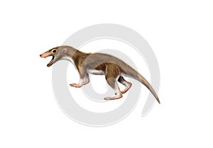 Ancient mammal Megazostrodon photo