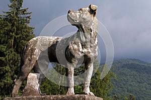 Ancient marble statue of a hunting dog on a background of Carpathian mountains, Peles Castle, Sinaia, Romania