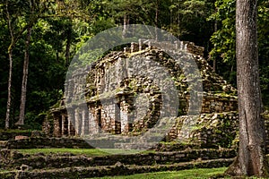 The Ancient Mayan Building in Yaxchilan