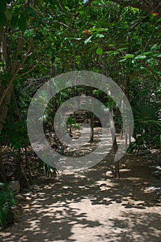 The Ancient Mayan jungle path by the ocean in Tulum Mexico photo