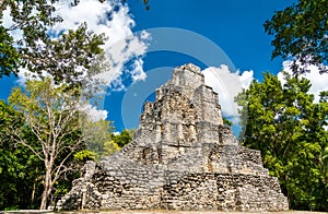 Ancient Mayan Pyramid at Muyil in Quintana Roo, Mexico photo