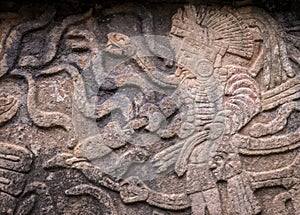 Ancient Mayan stone reliefs in Chichen Itza