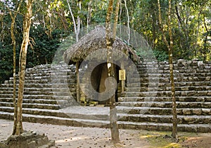 Ancient mayan temple lost in forest, Mexico