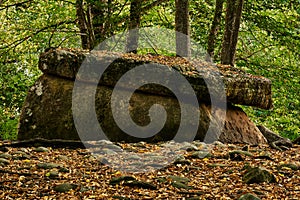 Ancient megalith dolmen among trees in an autumn grove