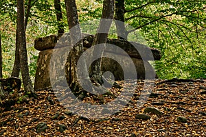 Ancient megalith dolmen among trees in an autumn grove