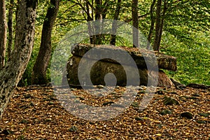 Ancient megalith dolmen among trees in an autumn grove