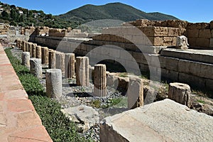 Ancient Messini Greece