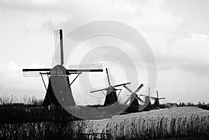 Ancient mills of Kinderdijk photo