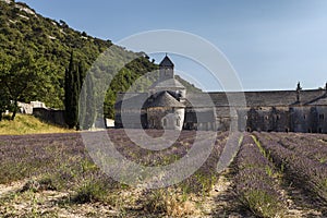 Ancient monastery Abbaye Notre-Dame de Senanque ( Abbey of Senanque). Vaucluse