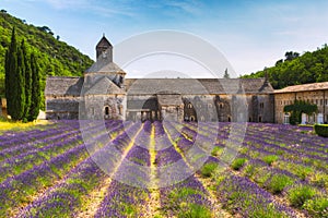 Ancient monastery Abbey Notre-Dame de Senanque in Vaucluse, France