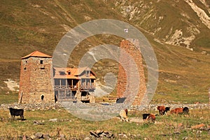 The ancient monastery and tower in the Truso gorge (Georgia)