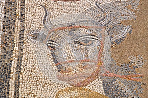 Ancient mosaic. Dion, Pieria, Greece