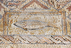 Ancient mosaic in Kourion, Cyprus