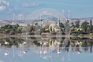 The ancient mosque Hala Sultan Tekke on the salt lake in Larnaca. Cyprus