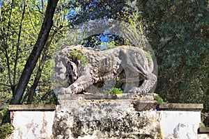 Ancient mossy overgrown lion stone in Villa Borghese