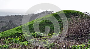 Ancient mound near Jurassic coast