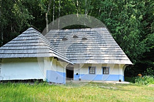 Ancient mud hut in forest