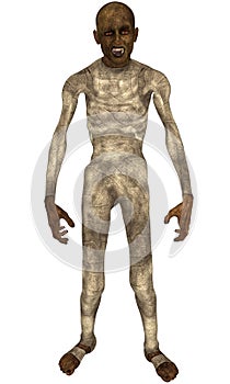 Ancient Mummy Standing