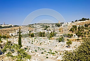 The ancient Muslim cemetery. Jerusalem