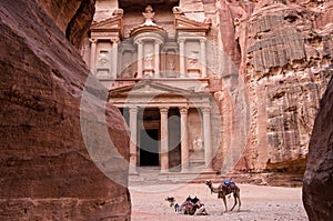 Ancient nabataean temple Al Khazneh Treasury located at Rose city - Petra, Jordan. Two camels infront of entrance. View from Siq