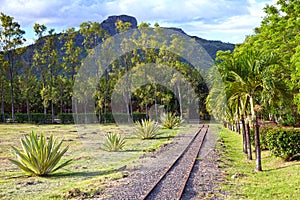The ancient narrow gage railwayin tropical park, Mauritius