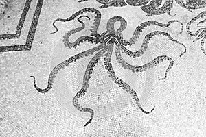 Octopus floor mosaic at excavated city of Herculaneum, Italy