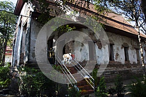 Ancient old ordination hall or antique ruin ubosot for thai travelers people travel visit respect praying blessing buddha wish