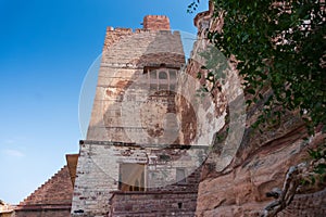 Ancient old tree and Jharokha, stone window projecting from the wall face of a building, in an upper story, overlooking Mehrangarh