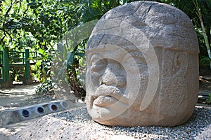 Ancient olmec head, La Venta photo