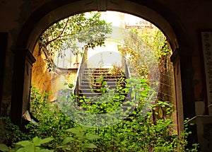 An ancient overgrown staircase and arch