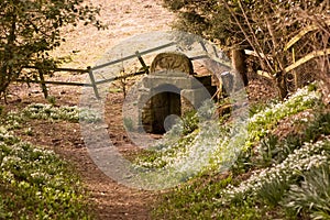 Ancient pagan Well, Newbury photo