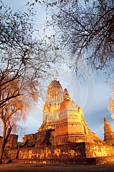 Ancient Pagoda Ayuttaya Thailand