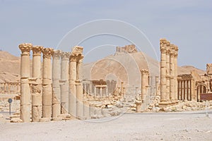 Ancient Palmyra, Syria