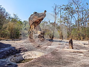 The ancient partridge shaped rock found among other rocks used to be a community of human in Dvaravati Civilisation