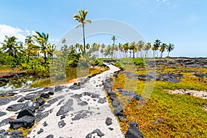 Ancient Pathway Through The Royal Grounds