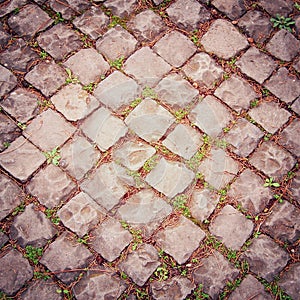 Ancient pavement in Rome vintage effect. Stone roadway with growing through.