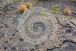 Ancient petroglyphs