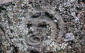 Ancient petroglyphs carved by the Carib tribes D