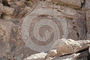 Ancient Petroglyphs on the Rocks at Yerbas Buenas in Atacama Desert in Chile photo
