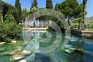 Ancient pool in Pamukkale.